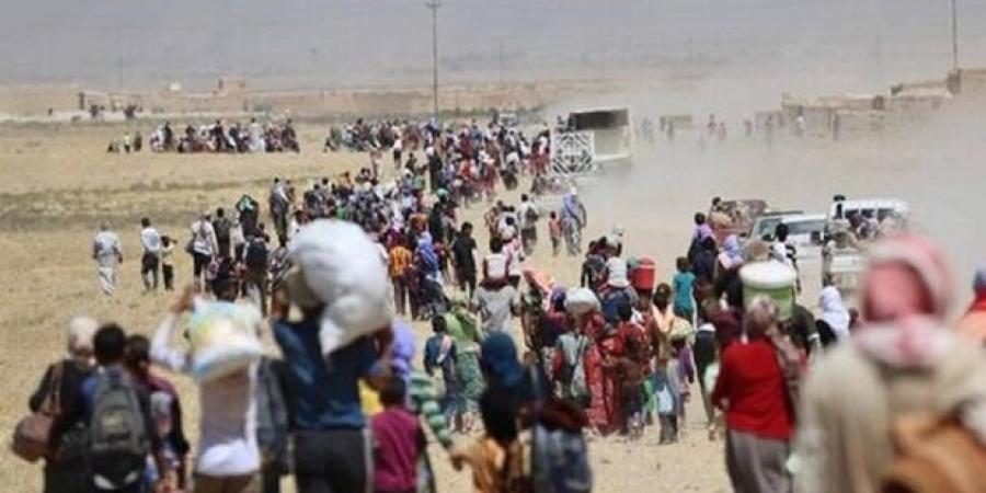 لزوم برخورد با مهاجرت غیرمجاز طبق قانون
